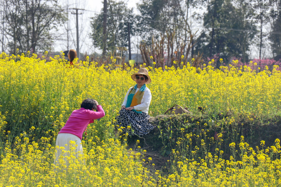 大邑县春天国际_大邑春天国际美食_成都大邑县春天国际新闻